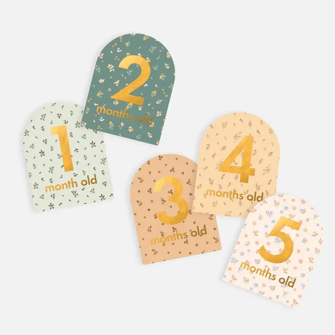 Fox & Fallow Baby Milestone Card Set BRODERIE