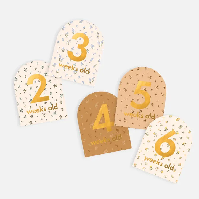 Fox & Fallow Baby Milestone Card Set BRODERIE