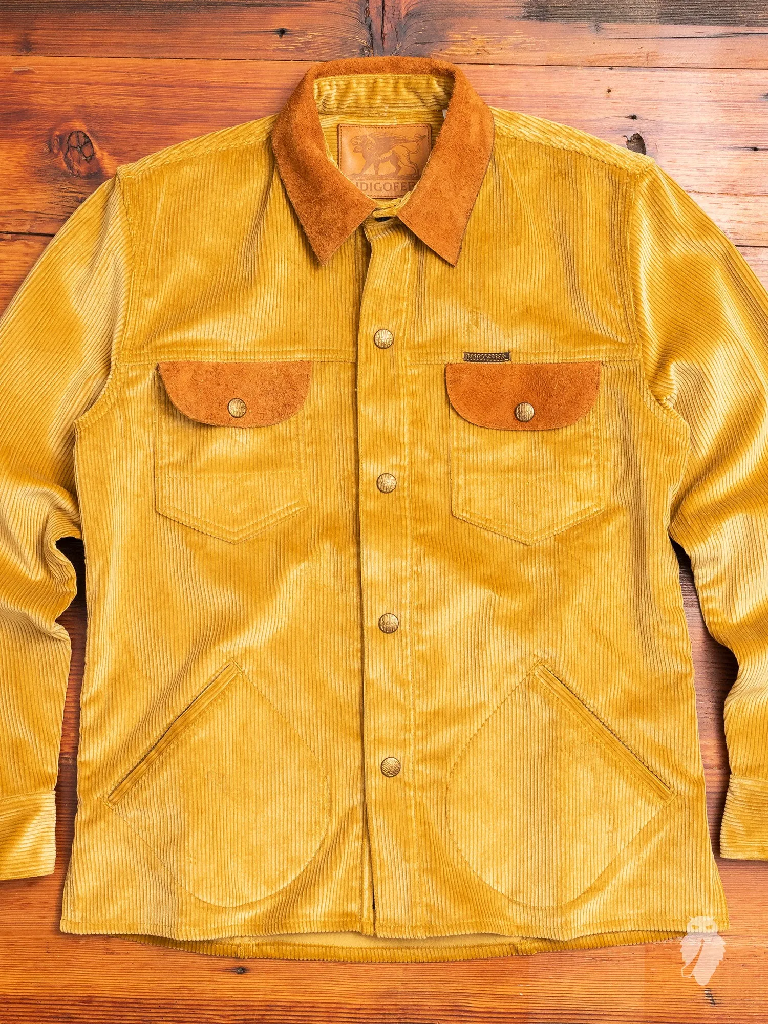 "Eagle Rising" Corduroy Jacket in California Gold